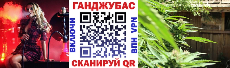 Конопля сатива  кракен сайт  Ступино 